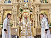 Митрополит Артемий принял участие в престольных торжествах кафедрального собора Владивостока