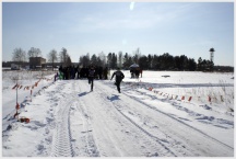 VII межвузовский конкурс &laquo;Защитник Отечества&raquo; (21 февраля 2009 года)